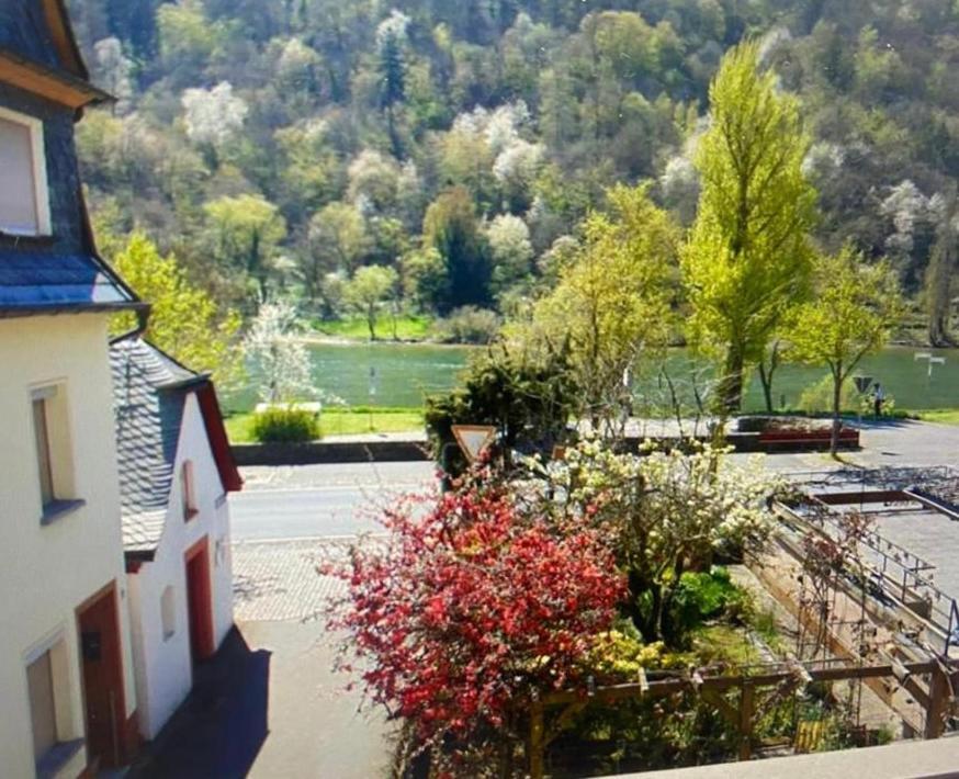 Ferienhaus Moselblick Am Kapellchen Ediger-Eller Zewnętrze zdjęcie
